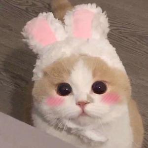 gts残忍系踩杀网站
